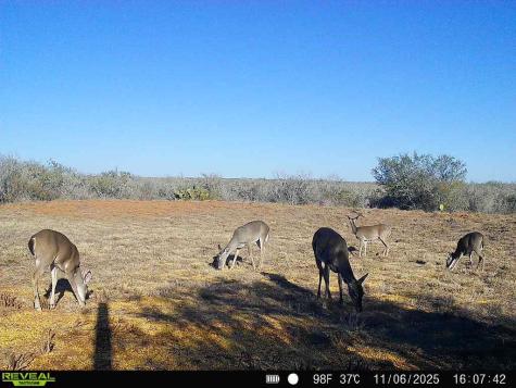 0 County Road 203 San Diego TX 78344