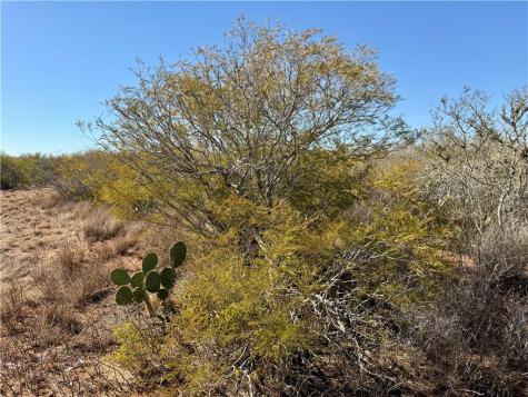 0 County Road 203 San Diego TX 78344