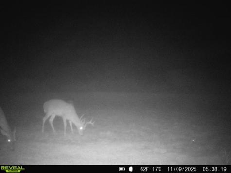 0 County Road 203 San Diego TX 78344