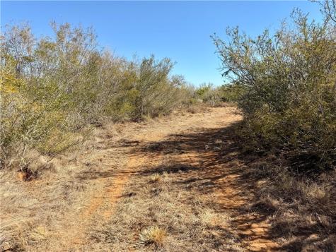 0 County Road 203 San Diego TX 78344