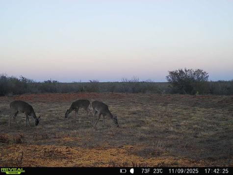 0 County Road 203 San Diego TX 78344