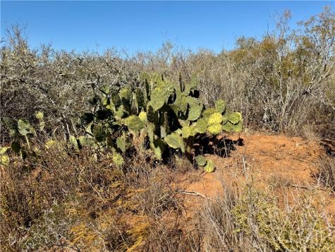 0 County Road 203 San Diego TX 78344