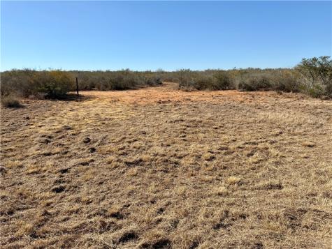 0 County Road 203 San Diego TX 78344