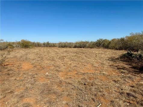0 County Road 203 San Diego TX 78344