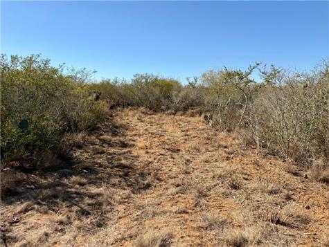 0 County Road 203 San Diego TX 78344