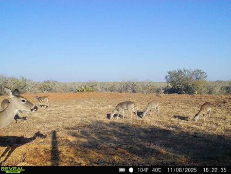 0 County Road 203 San Diego TX 78344
