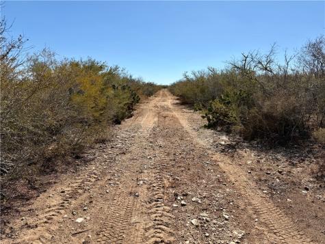 0 County Road 203 San Diego TX 78344