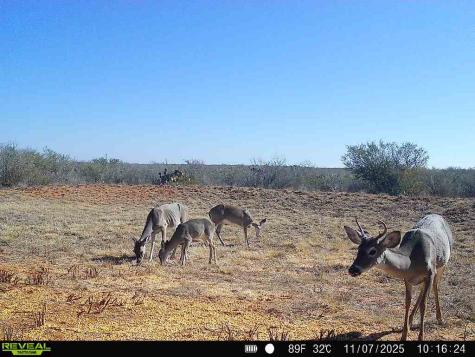 0 County Road 203 San Diego TX 78344