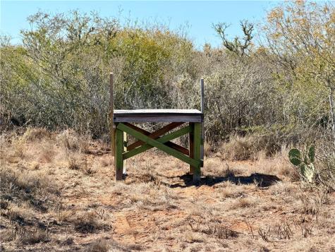 0 County Road 203 San Diego TX 78344