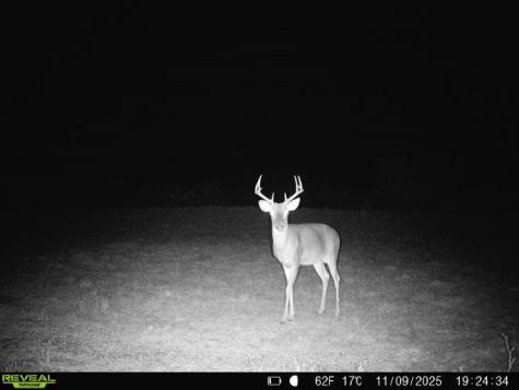 0 County Road 203 San Diego TX 78344