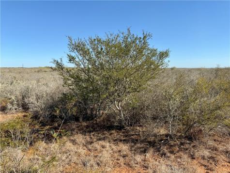 0 County Road 203 San Diego TX 78344