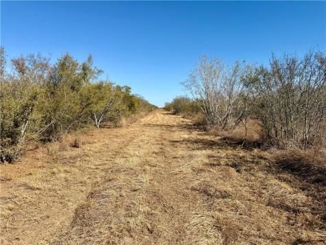 0 County Road 203 San Diego TX 78344