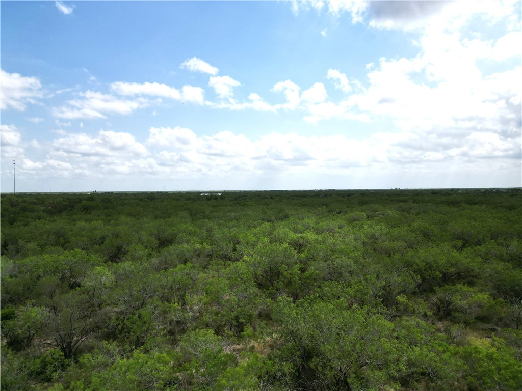 0 San Diego Creek Tract 16 San Diego TX 78384