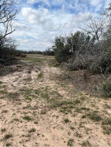 Cty Road 101 El Toro Road Spur 12 San Diego TX 78332