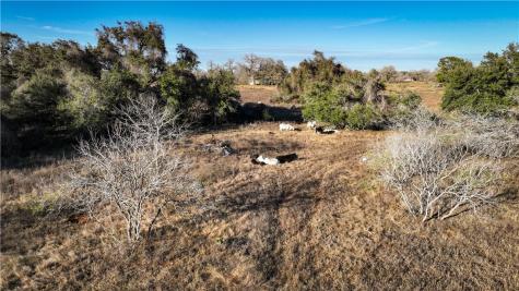 9912 Fm 1681 Nixon TX 78140