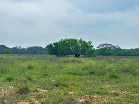 586 Jenschke Lane Poteet TX 78065