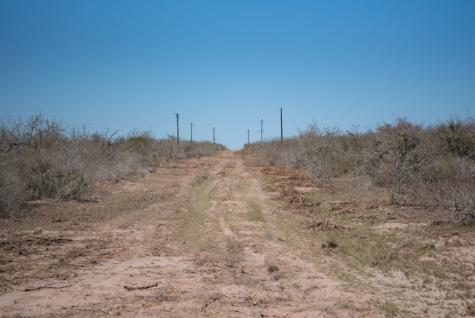 Tbd Cr 325 Freer TX 78357