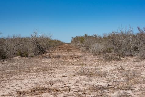 Tbd Cr 325 Freer TX 78357