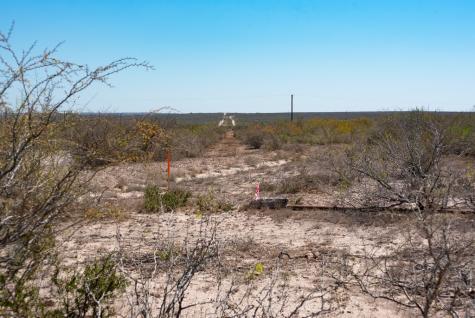 Tbd Cr 325 Freer TX 78357