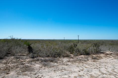 Tbd Cr 325 Freer TX 78357
