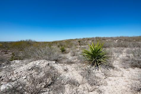 Tbd Cr 325 Freer TX 78357