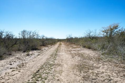 Tbd Cr 325 Freer TX 78357