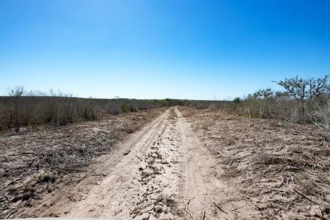 Tbd Cr 325 Freer TX 78357