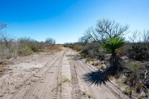 Tbd Cr 325 Freer TX 78357