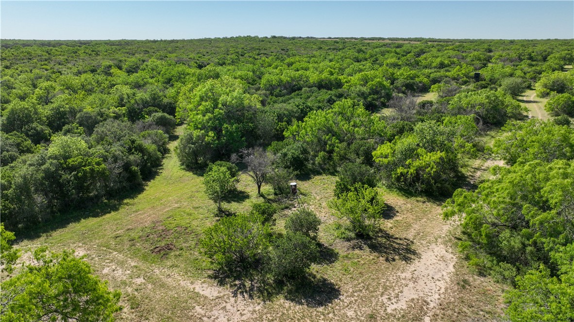 48AC County Road 114 George West TX 78022