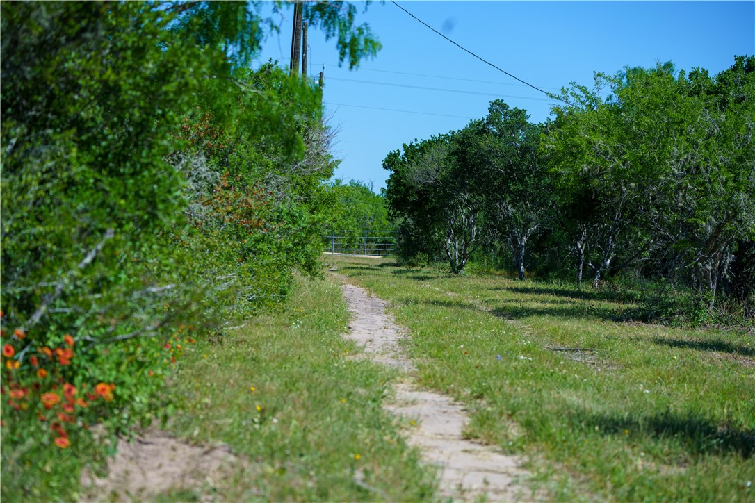 48AC County Road 114 George West TX 78022