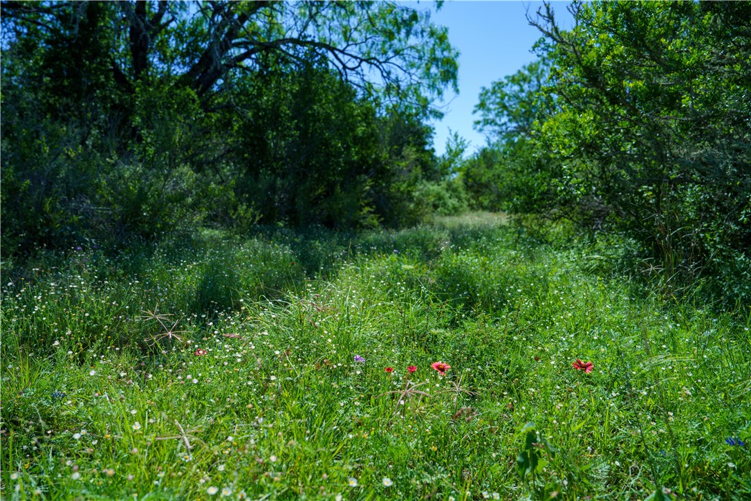 48AC County Road 114 George West TX 78022