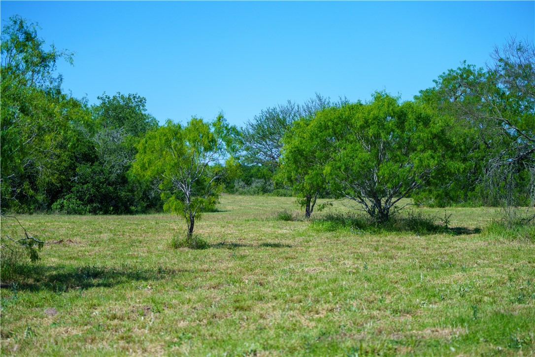 48AC County Road 114 George West TX 78022