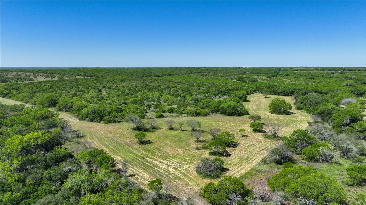 48AC County Road 114 George West TX 78022