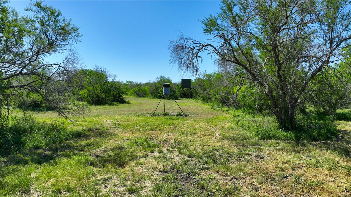 48AC County Road 114 George West TX 78022