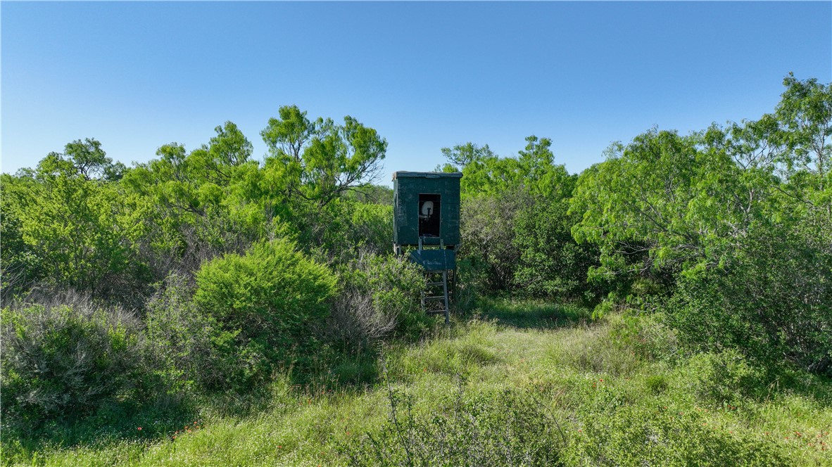48AC County Road 114 George West TX 78022