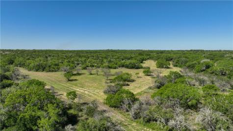 48AC County Road 114 George West TX 78022