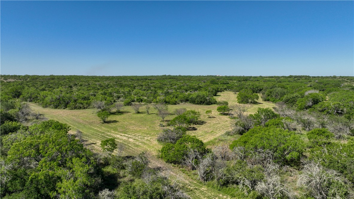 48AC County Road 114 George West TX 78022