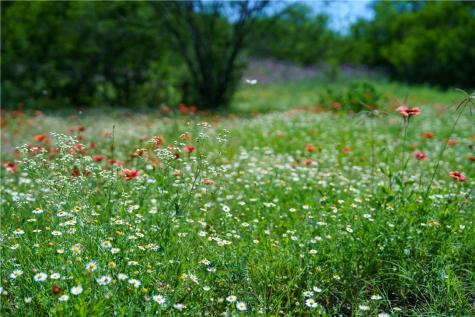48AC County Road 114 George West TX 78022