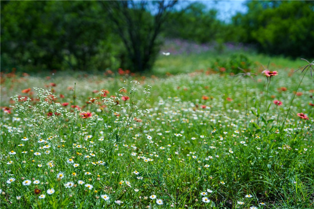48AC County Road 114 George West TX 78022