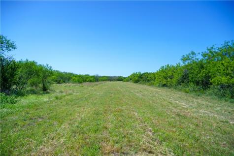 48AC County Road 114 George West TX 78022