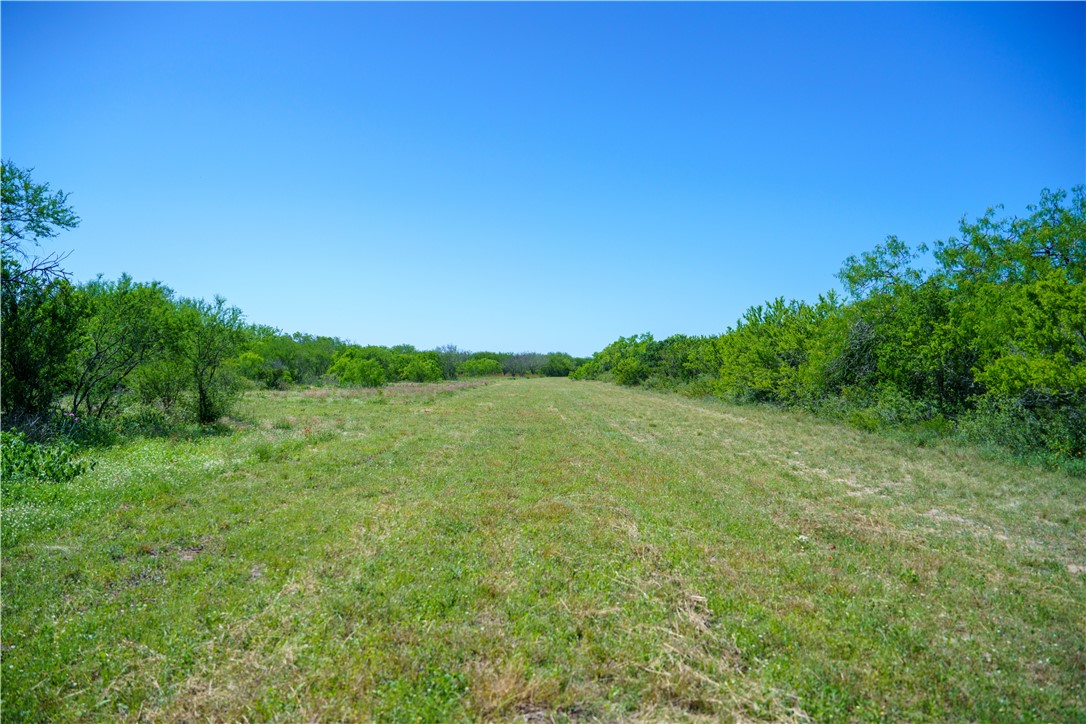 48AC County Road 114 George West TX 78022