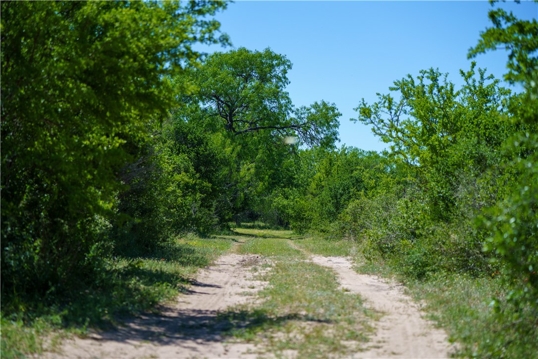 48AC County Road 114 George West TX 78022