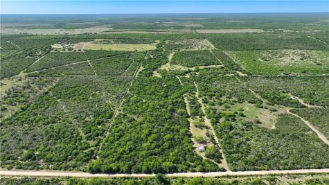 48AC County Road 114 George West TX 78022