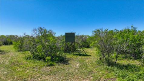48AC County Road 114 George West TX 78022