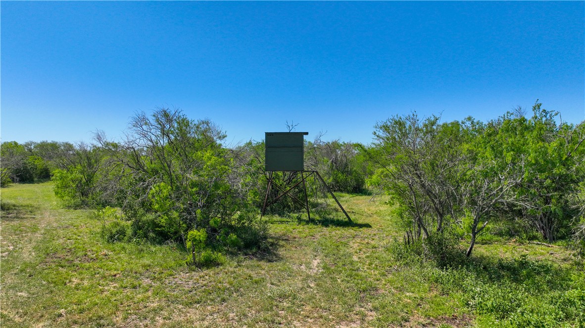 48AC County Road 114 George West TX 78022