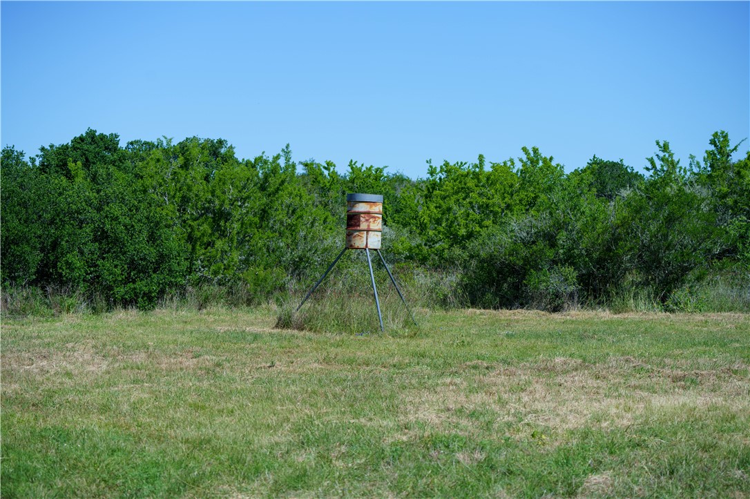 48AC County Road 114 George West TX 78022