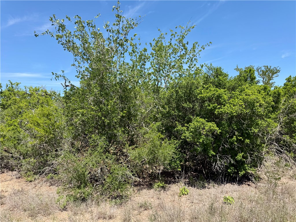 100 Cr 147 George West TX 78022
