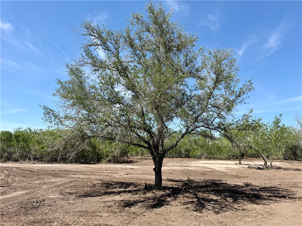 100 Cr 147 George West TX 78022