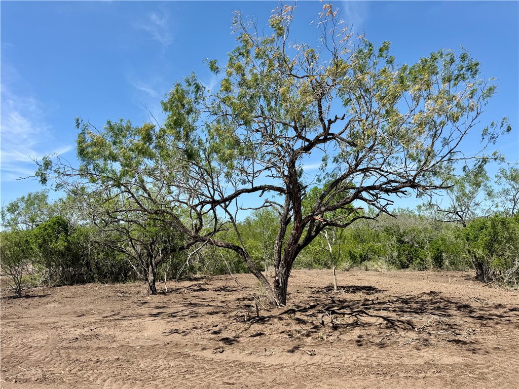 100 Cr 147 George West TX 78022