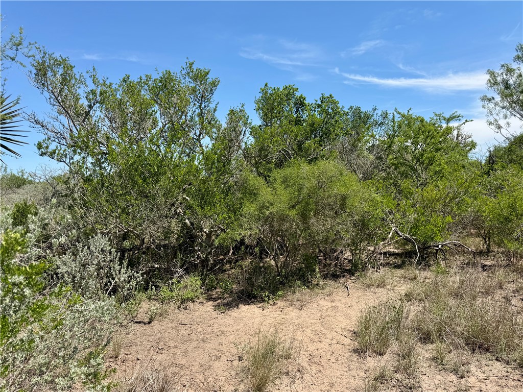 100 Cr 147 George West TX 78022
